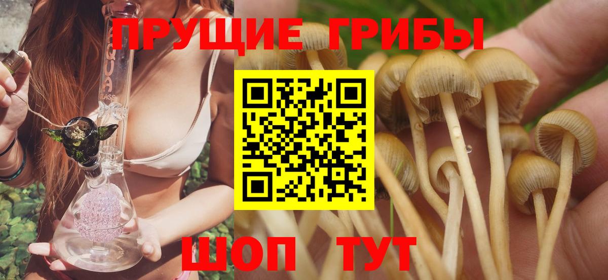 Галлюциногенные грибы GOLDEN TEACHER  Вход с VPN  как найти закладки  Аксай  Псилоцибиновые грибы ЛСД 